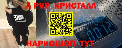 прущие грибы Гусиноозёрск