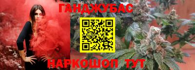 прущие грибы Гусиноозёрск