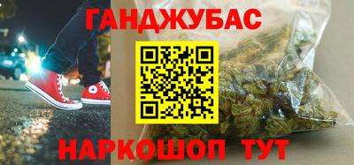прущие грибы Гусиноозёрск