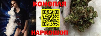 прущие грибы Гусиноозёрск
