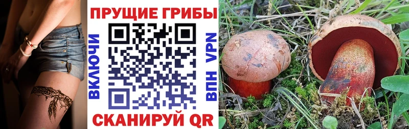 Псилоцибиновые грибы Psilocybe  наркотики  Подольск 