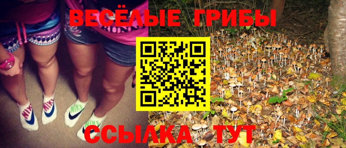 Подольск  как найти наркотики  Вход с VPN  Псилоцибиновые грибы ЛСД 