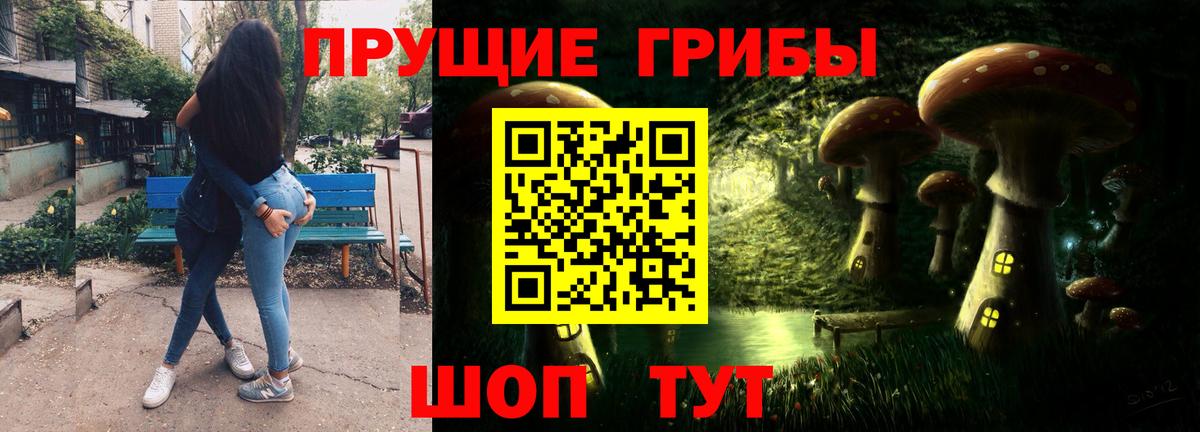 Псилоцибиновые грибы Psilocybe Подольск